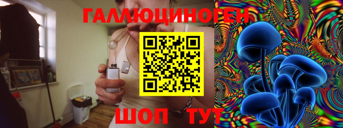 Галлюциногенные грибы GOLDEN TEACHER  Вход с VPN  Галлюциногенные грибы мицелий  Избербаш 
